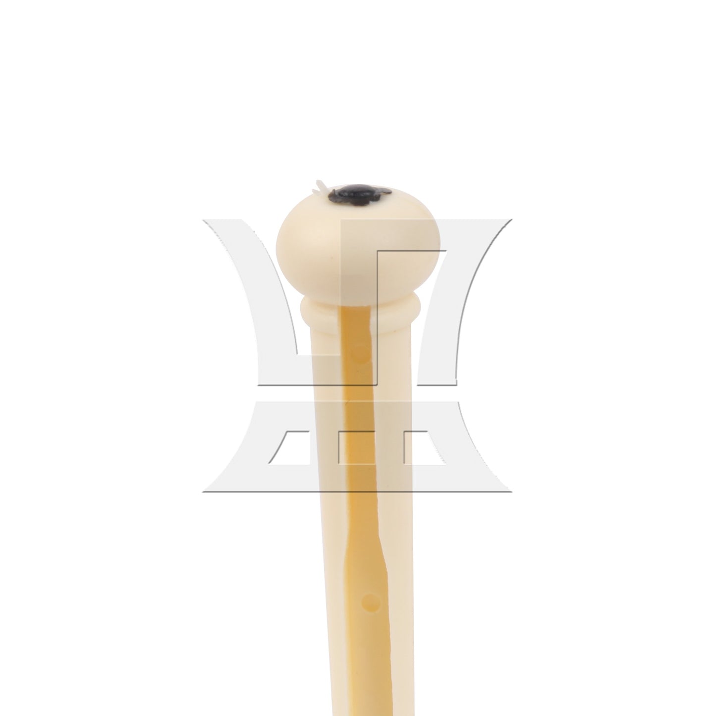 Cream Acoustic Guitar Bridge Pins\ saddle\ Nut Set