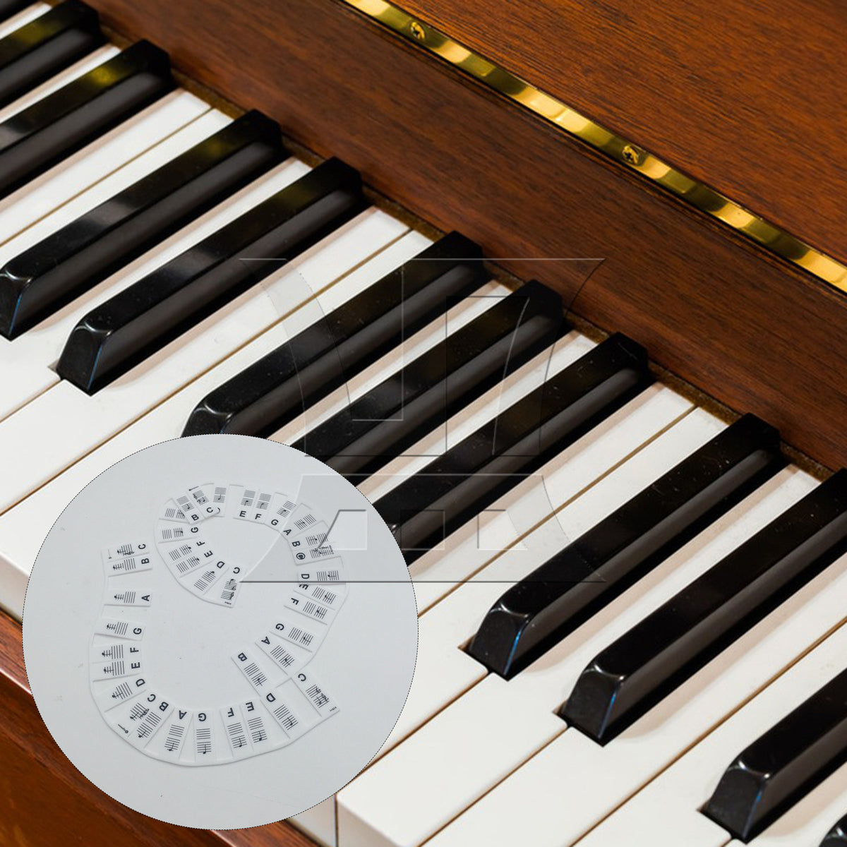 BQLZR 1set Piano Keyboard Sheet Music Note Stickers for Electric Piano