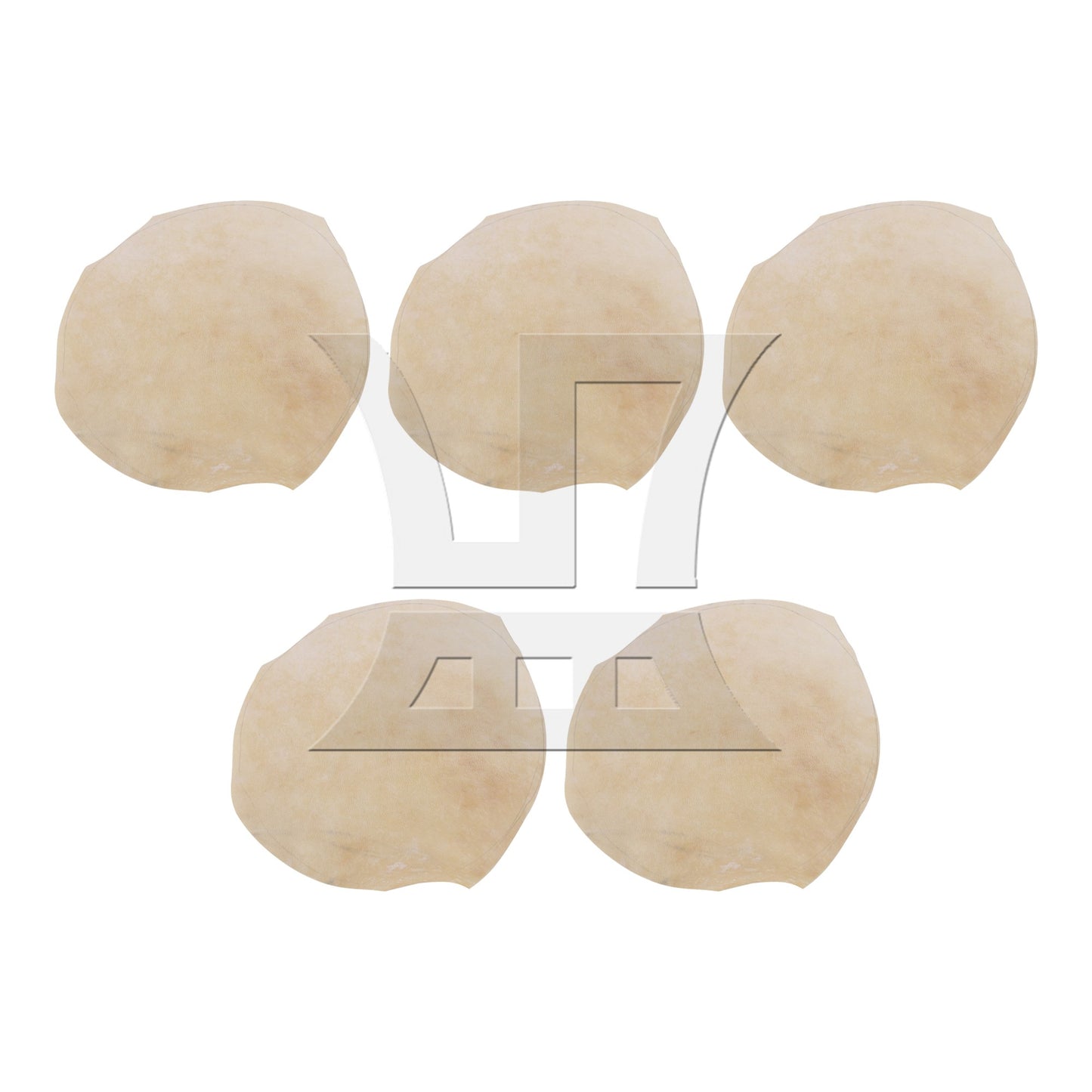 Goat Skin Drums Head for Bongo Drums / Shaman Drums / 10 inches African Drum