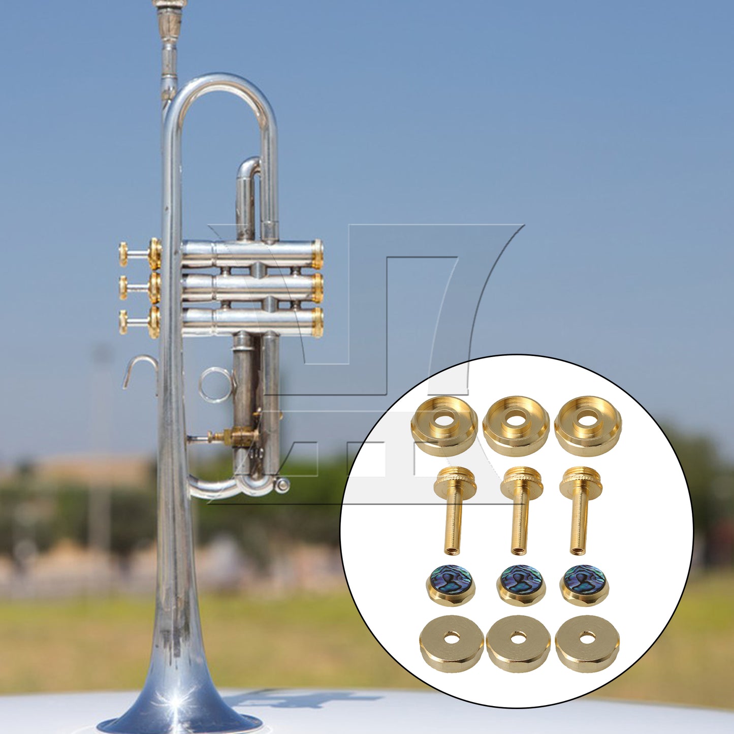 BQLZR 3x Trumpets Abalone Shell Finger Buttons Top Bottom Valve Caps Connecting Rods