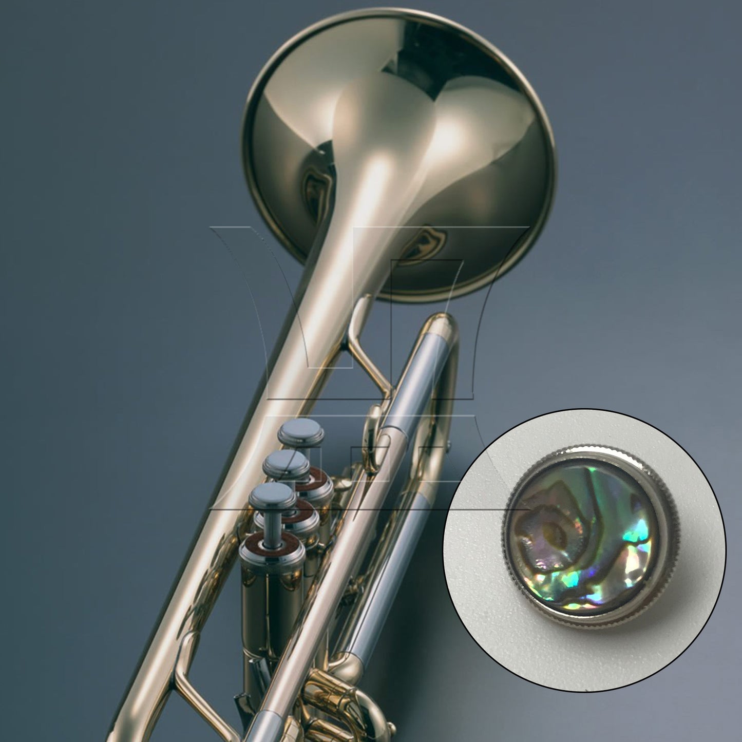 BQLZR 1pc Abalone Shell Trumpet Finger Key Button for Trumpet Replacement and Repair