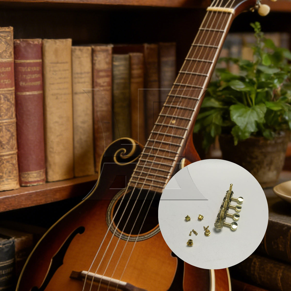 BQLZR 1pc Mandolin Tuning Peg Left Gold Four-Couple Mandolin String Knob String Quadrille Reel