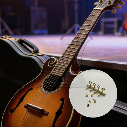 BQLZR 1pc Mandolin Tuning Peg Left Gold Four-Couple Mandolin String Knob String Quadrille Reel