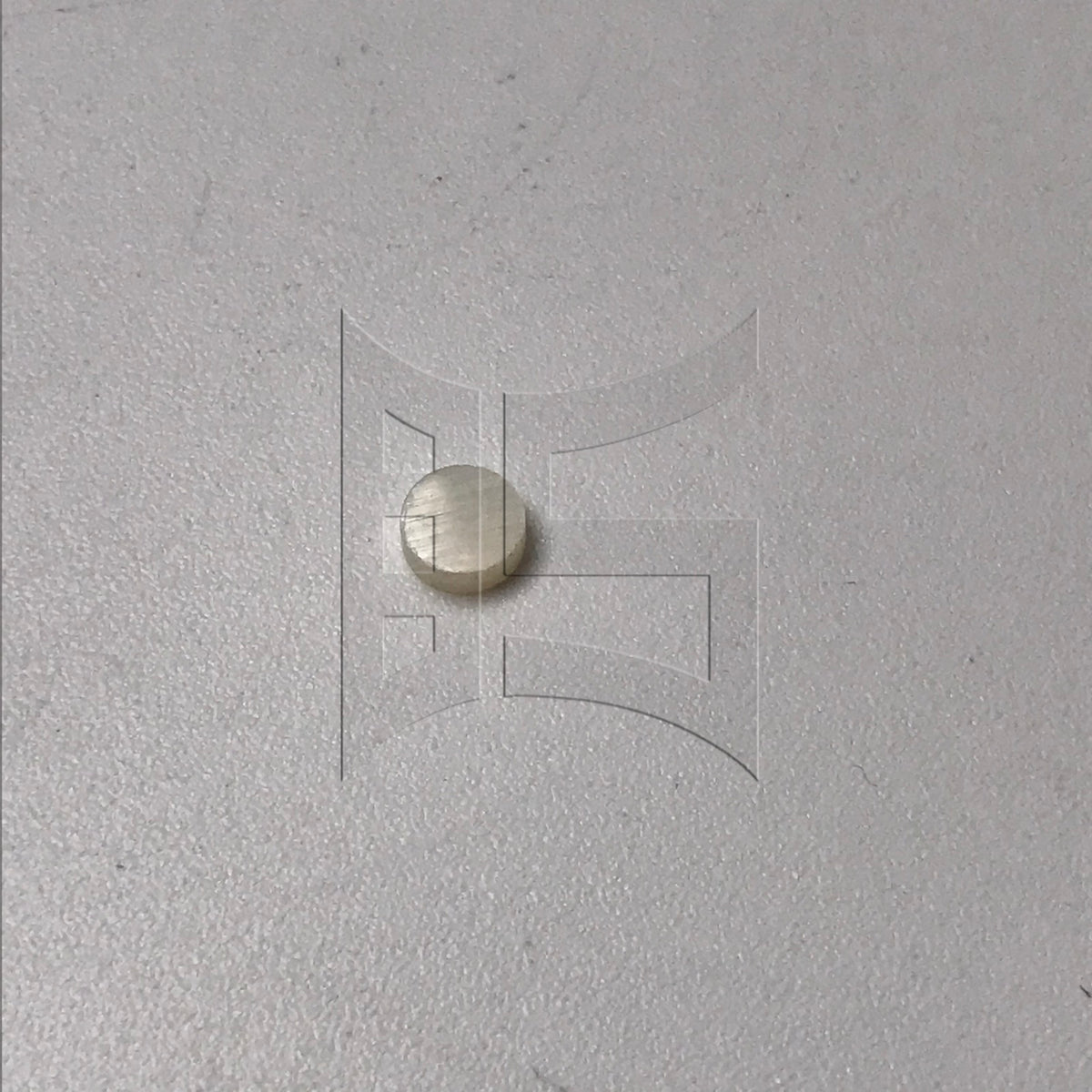 BQLZR 1pc White Shell Guitar Board Dot 6x2mm for Guitar
