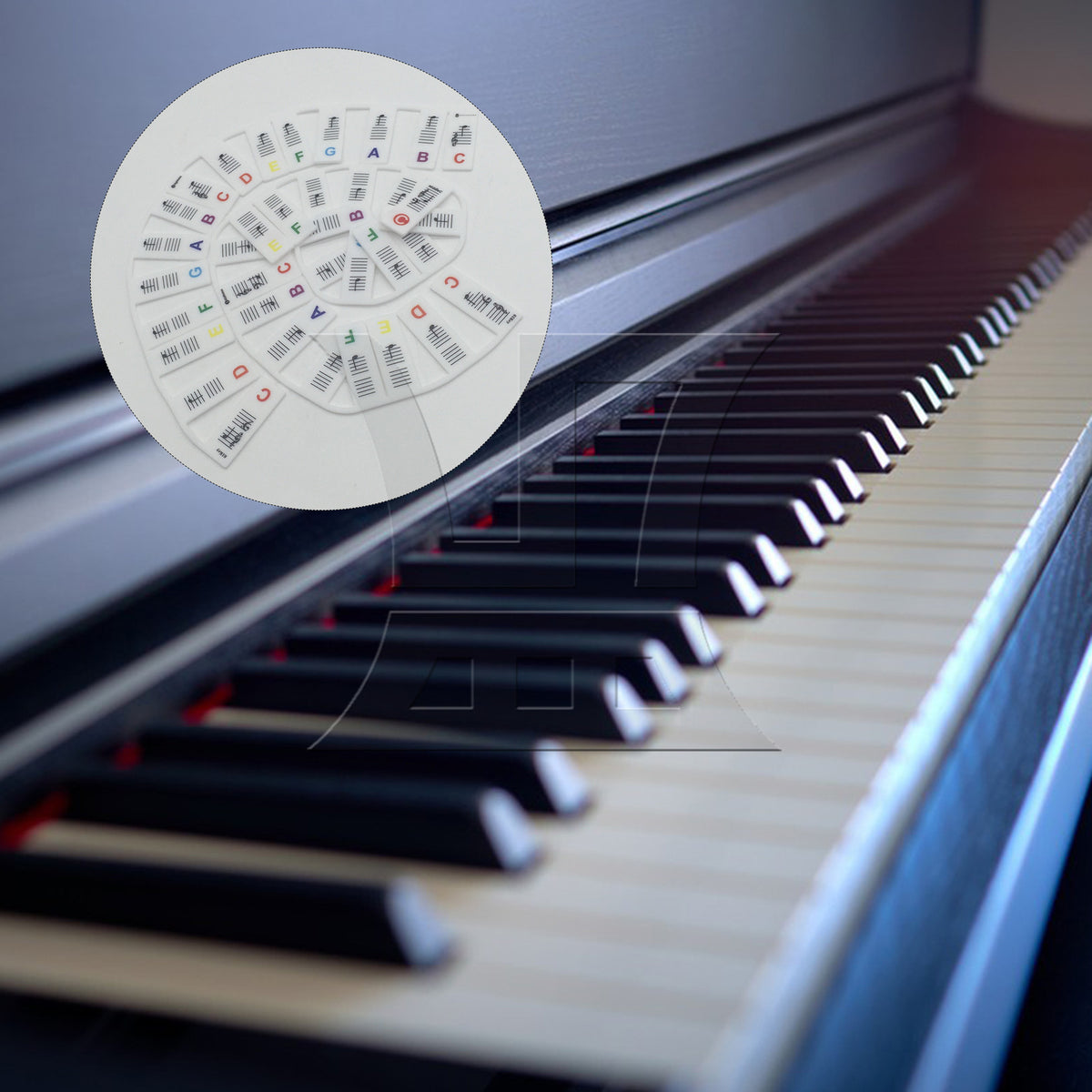 BQLZR 1set Piano Keyboard Sheet Music Note Stickers for Electric Piano