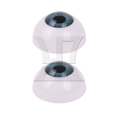 BQLZR 2pcs Half Covered Eyeball 26mm Grey for Human Model