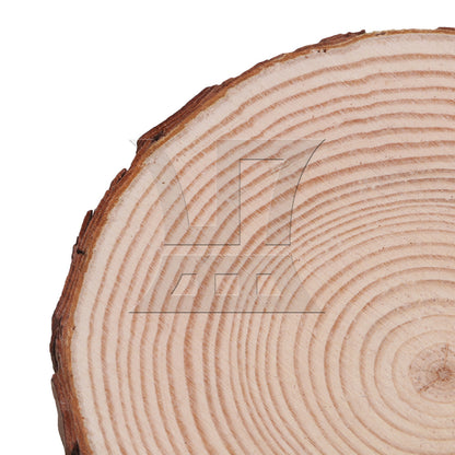 BQLZR 4x Natural Pine Wood Slices Circles with Tree Bark Log Discs 14-16cm Dia