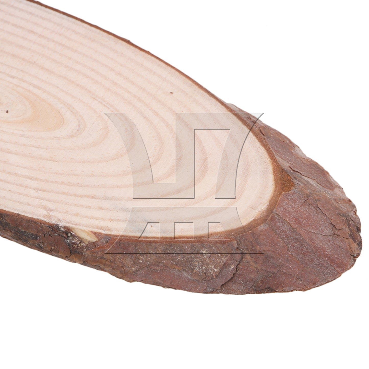 BQLZR 4x Oval Shape Natural Pine Wood Log Slice Circle with Tree Bark 7.09-7.87inch