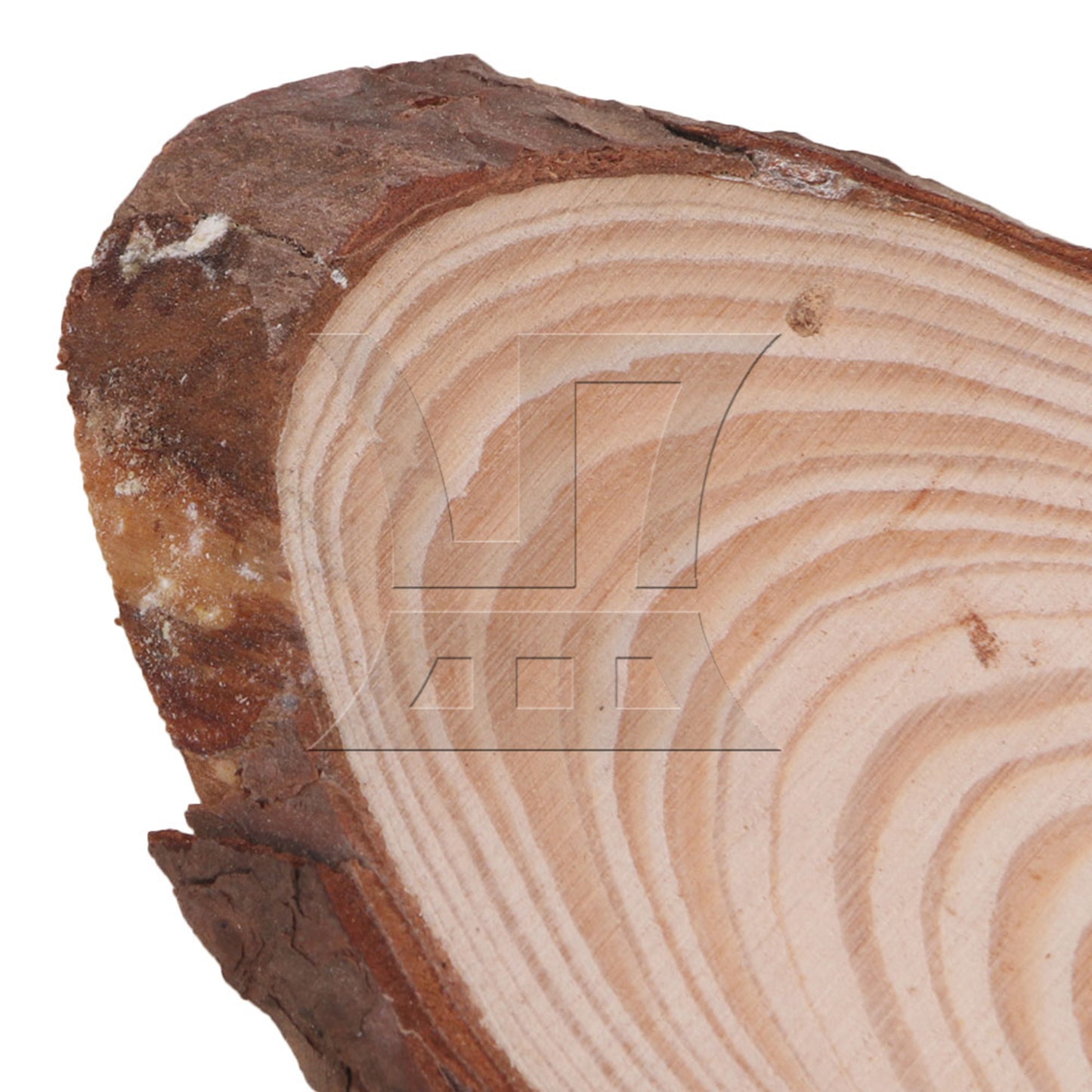 BQLZR 10x Oval Shape Natural Pine Wood Log Slice Circle with Tree Bark 14x6CM BQLZR
