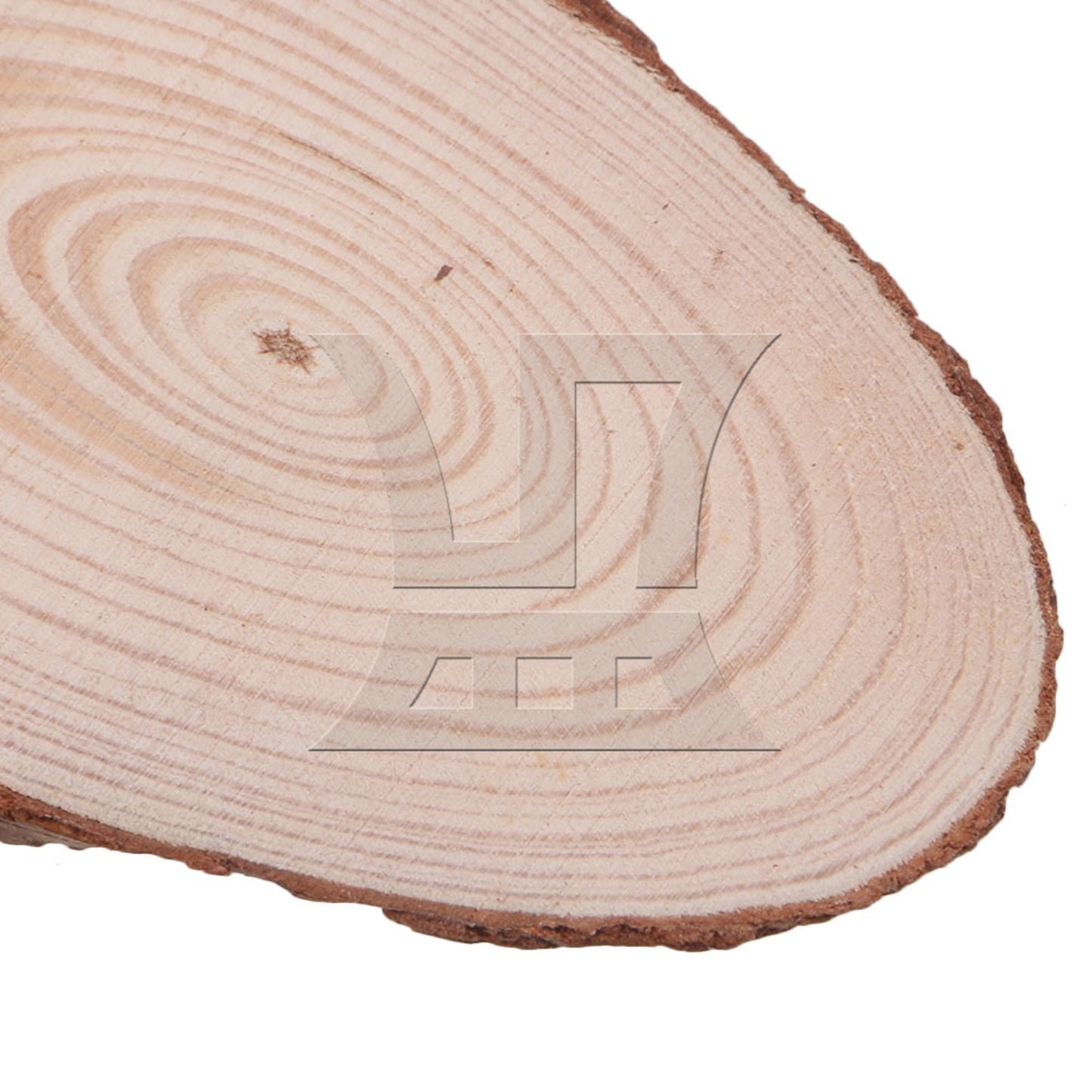 BQLZR 10x Oval Shape Natural Pine Wood Log Slice Circle with Tree Bark 14x6CM BQLZR