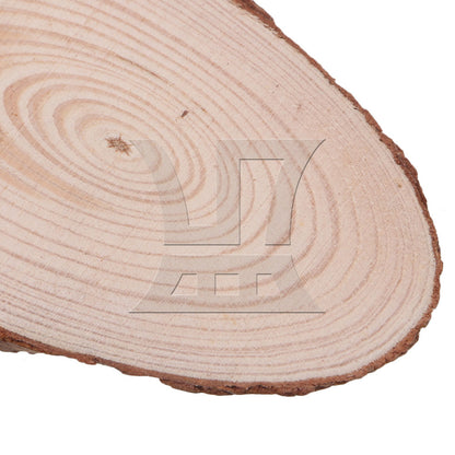 BQLZR 10x Oval Shape Natural Pine Wood Log Slice Circle with Tree Bark 14x6CM BQLZR