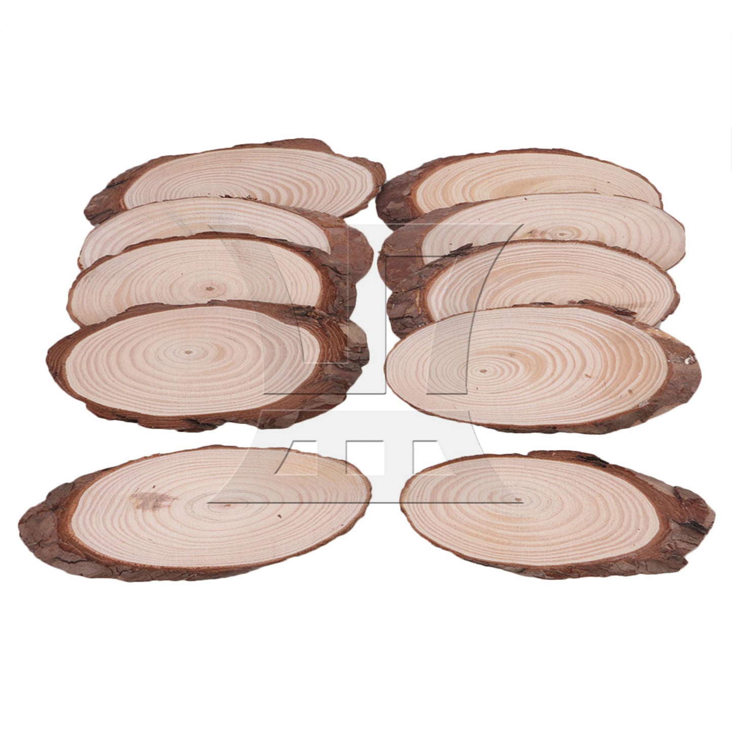 BQLZR 10x Oval Shape Natural Pine Wood Log Slice Circle with Tree Bark 14x6CM BQLZR