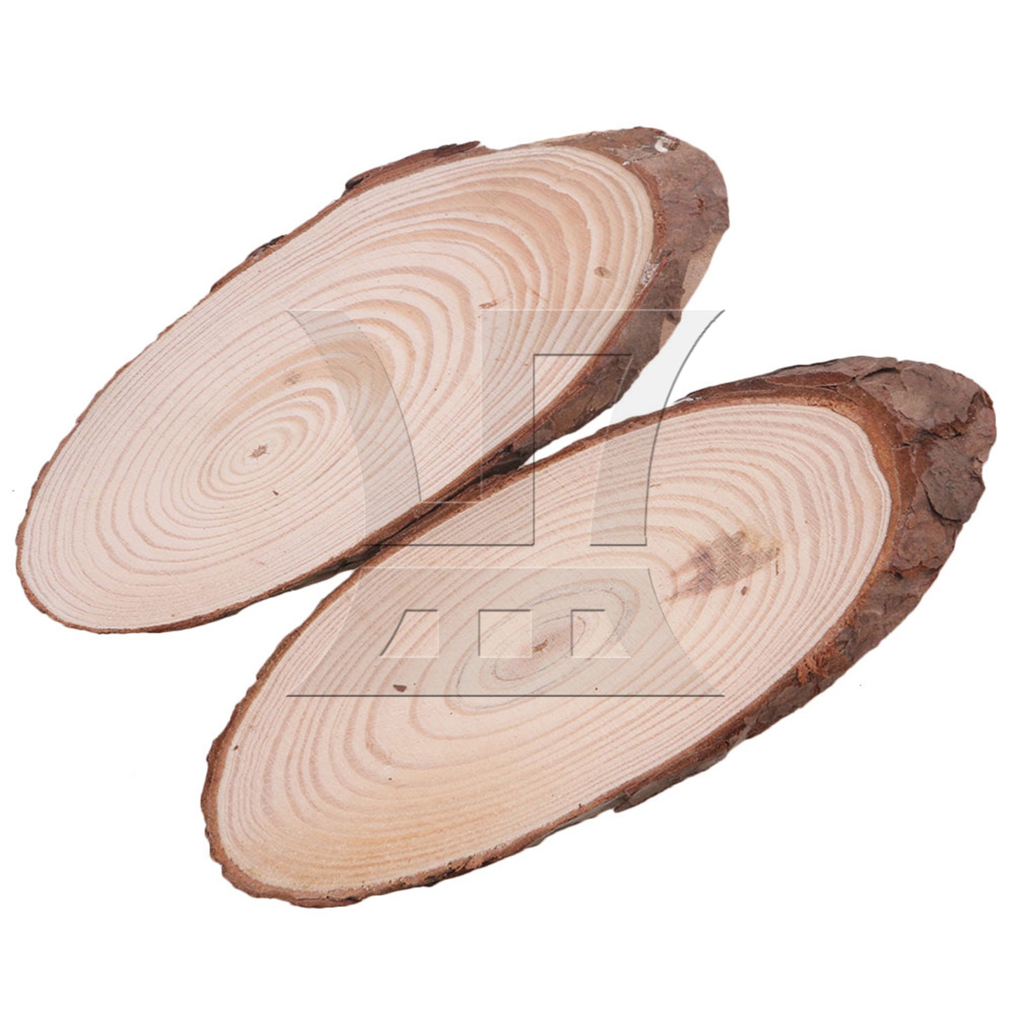 BQLZR 10x Oval Shape Natural Pine Wood Log Slice Circle with Tree Bark 14x6CM BQLZR