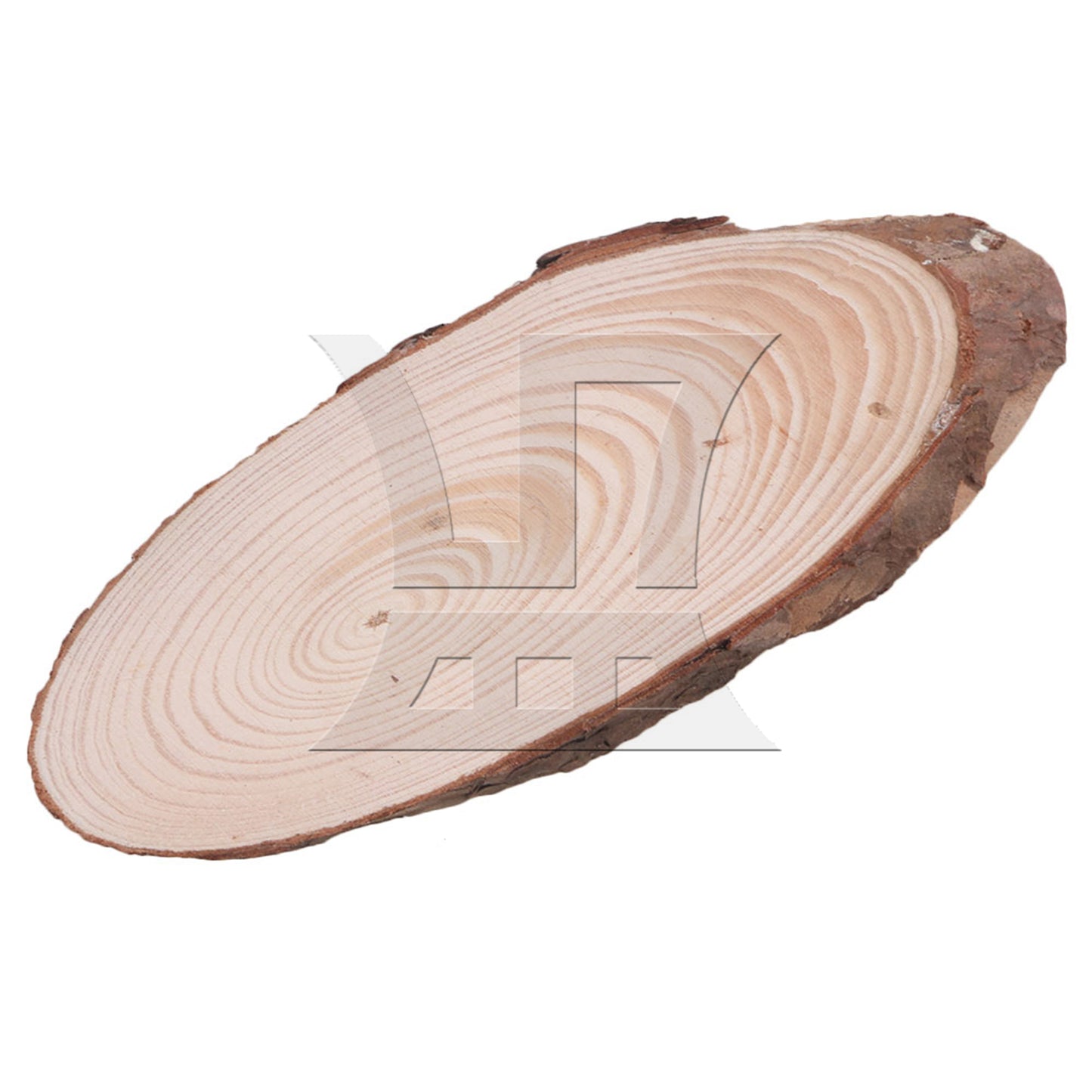 BQLZR 10x Oval Shape Natural Pine Wood Log Slice Circle with Tree Bark 14x6CM BQLZR