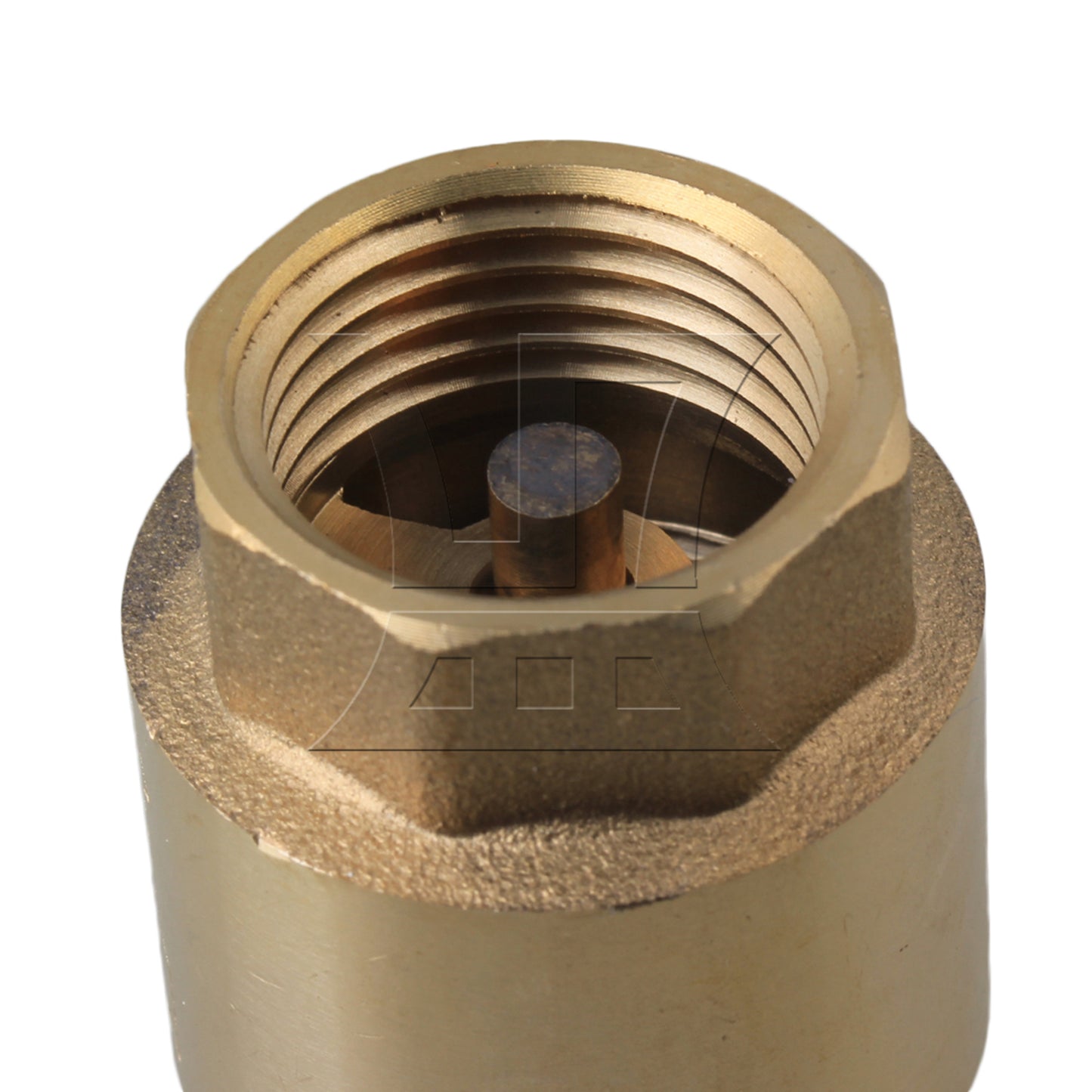 BQLZR 1/2" BSPP Internal Thread In-Line Check Valve Spring Vertical High Pressures