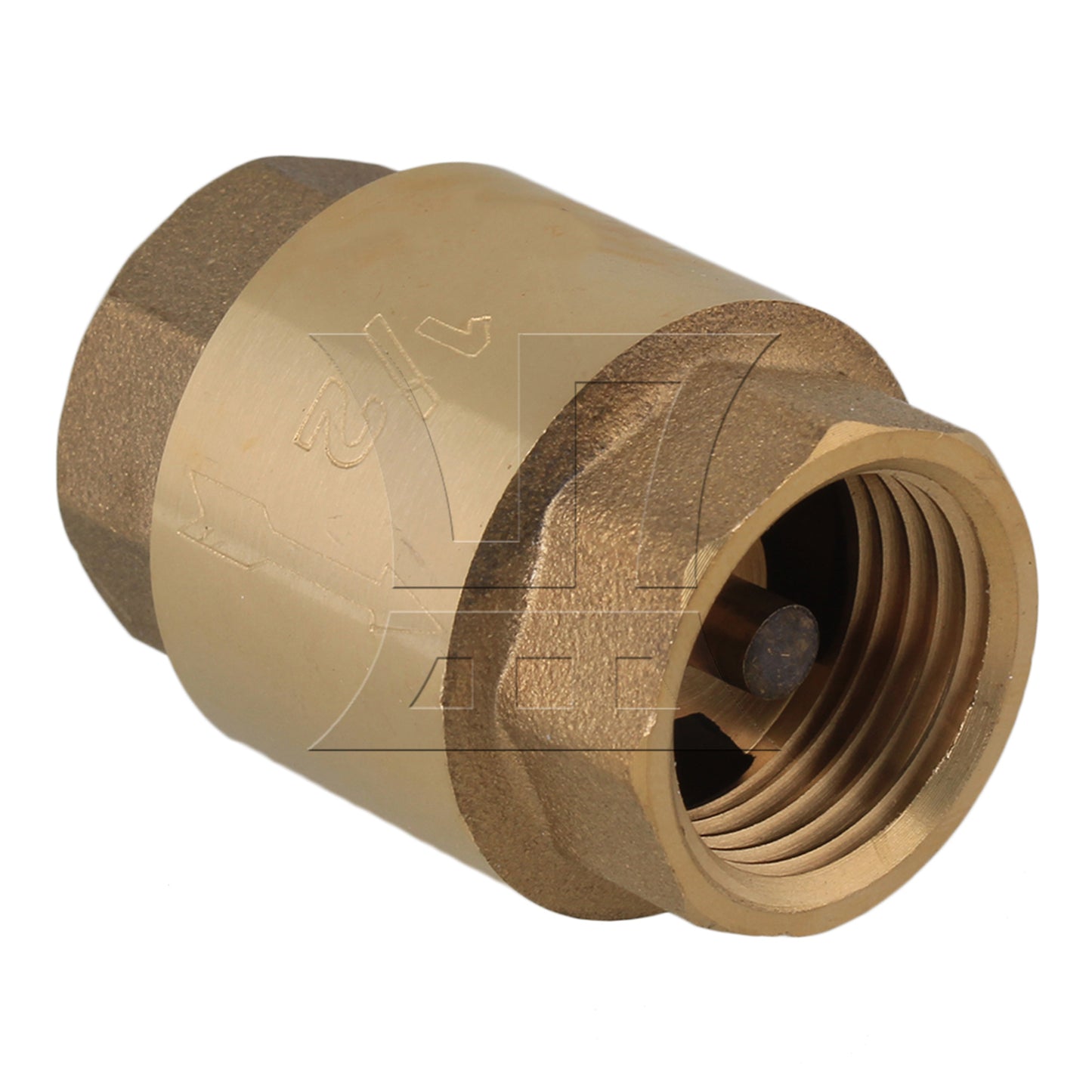 BQLZR 1/2" BSPP Internal Thread In-Line Check Valve Spring Vertical High Pressures