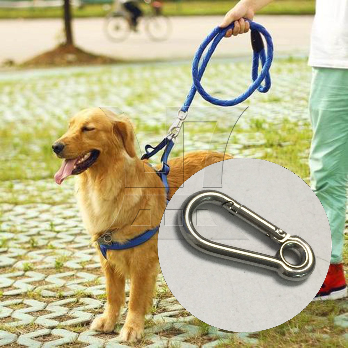 BQLZR 5x High Load Bearing 50mm Eyelet M5 304 Stainless Steel Secure Lock