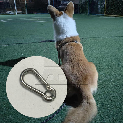 BQLZR 5x High Load Bearing 50mm Eyelet M5 304 Stainless Steel Secure Lock