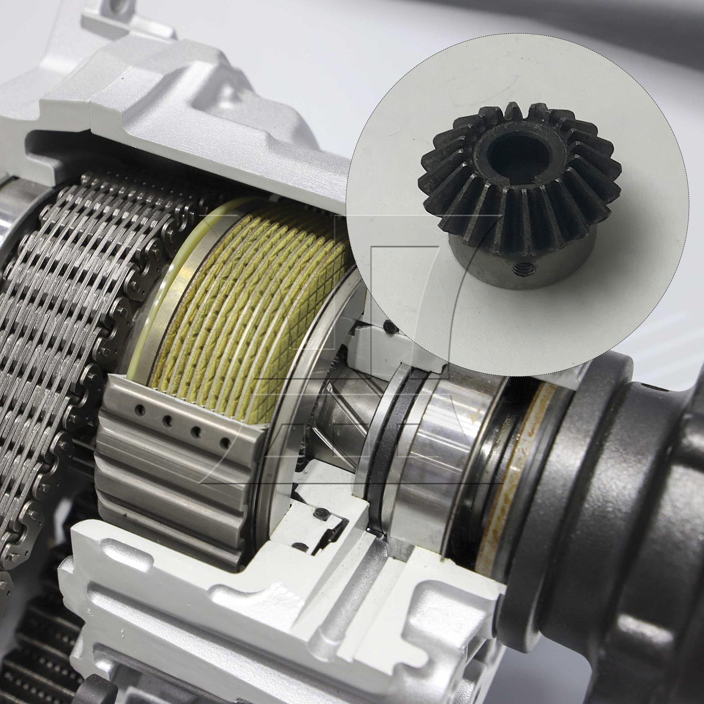 BQLZR 1pc Tapered Bevel Gear 2 Module 20 T 12mm for Industrial Transmission Parts