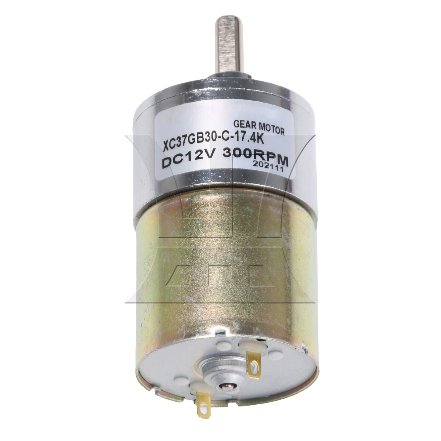 BQLZR High Torque 12V DC 300 RPM Gear-Box Electric Motor ZYTD520 Stainless Steel