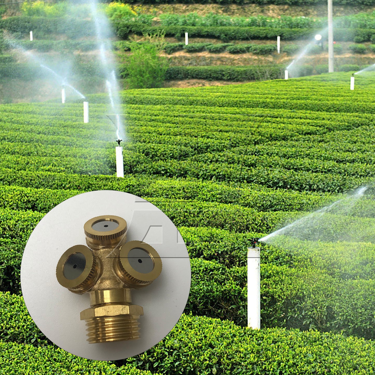 BQLZR Three Ways Sprayer 1/2" Male Thread Nozzle Spray Sprinkler Head For Graden
