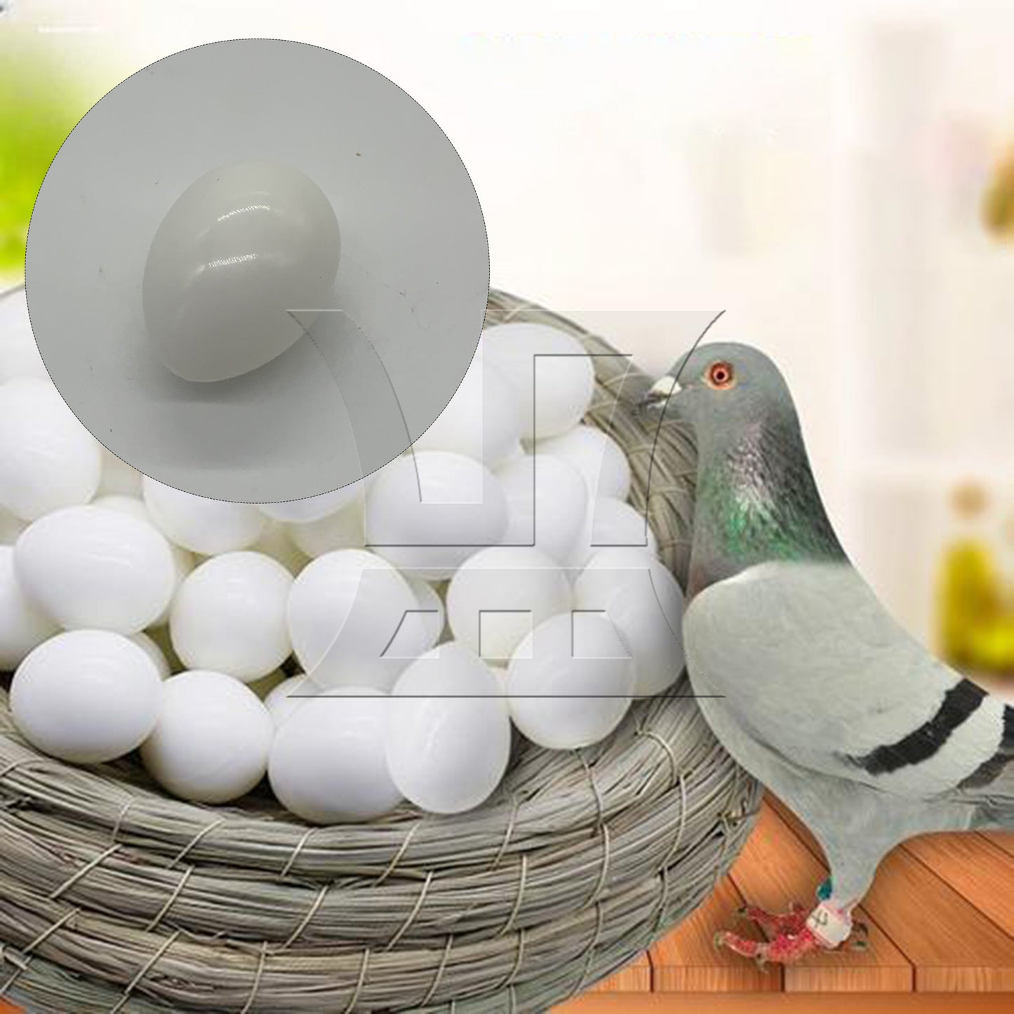 BQLZR  Smooth Dove Solid Plastic Eggs Fake Dummy Eggs White