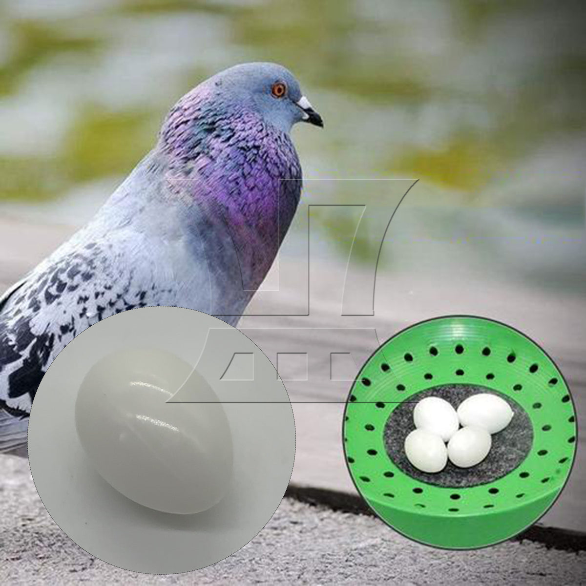 BQLZR  Smooth Dove Solid Plastic Eggs Fake Dummy Eggs White