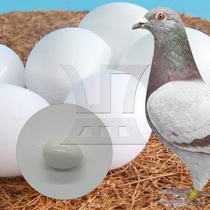 BQLZR  Smooth Dove Solid Plastic Eggs Fake Dummy Eggs White