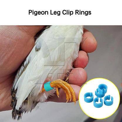 BQLZR 100pcs Blue Plastic Poultry Leg Bands Bird Chicks Ducks Clip-on Rings 8mm