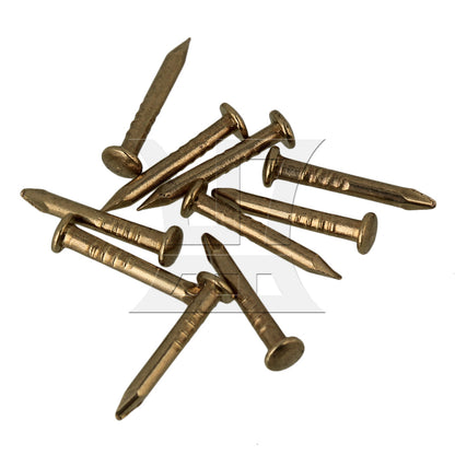 BQLZR Household Copper Furniture Miniature Nail with Round Head 10mm Pack of 100