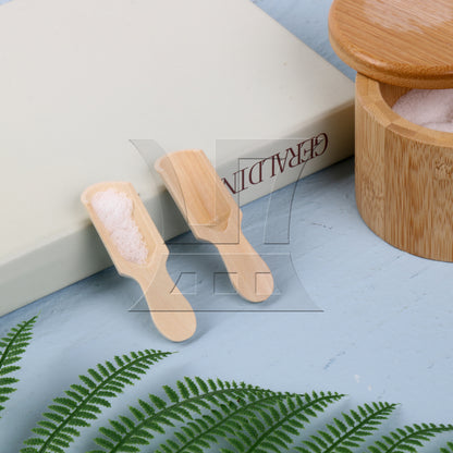 BQLZR 2.87" x 0.94" Mini Wooden Spoons Kitchen Teaspoon Condiment Utensil