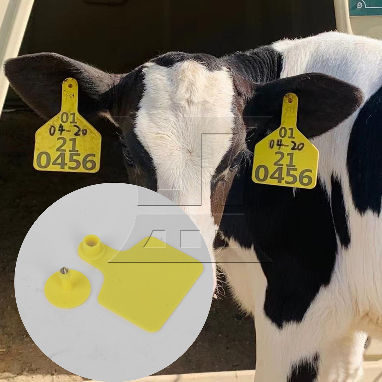 BQLZR 1pc Cow Ear Sign 6cm x 7.3cm Yellow for farm ranches
