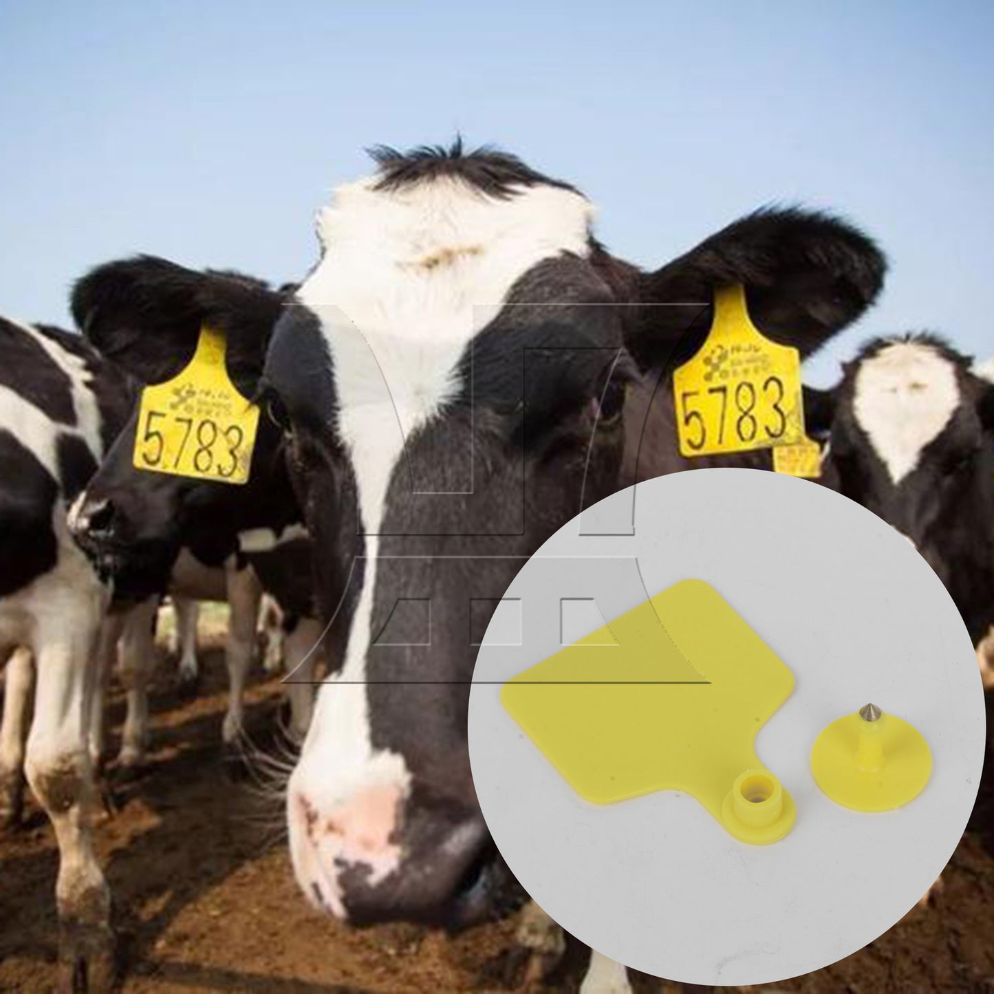 BQLZR 1pc Cow Ear Sign 6cm x 7.3cm Yellow for farm ranches