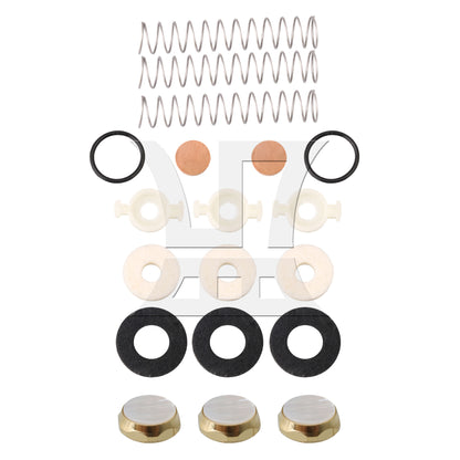 BQLZR Bb Trumpet Spring Kit Felt Washer Abalone Shell Finger Button Set of 19