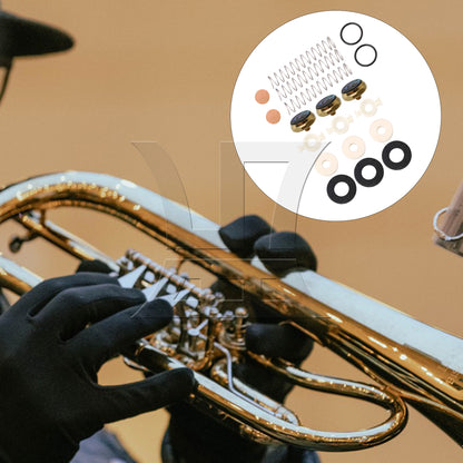 BQLZR Bb Trumpet Spring Kit Felt Washer Abalone Shell Finger Button Set of 19