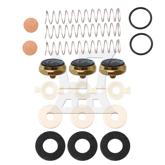 BQLZR Bb Trumpet Spring Kit Felt Washer Abalone Shell Finger Button Set of 19