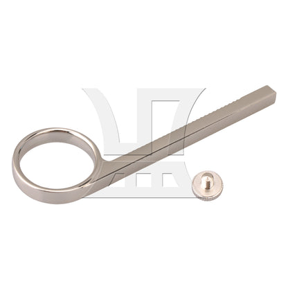 BQLZR Valve Spring with Screw and Key Trumpet Finger Button Replacement Part Kit