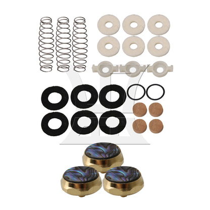 BQLZR 21Pieces Trumpet Drain Valve Key Accessories & Hexagon Finger Key Buttons