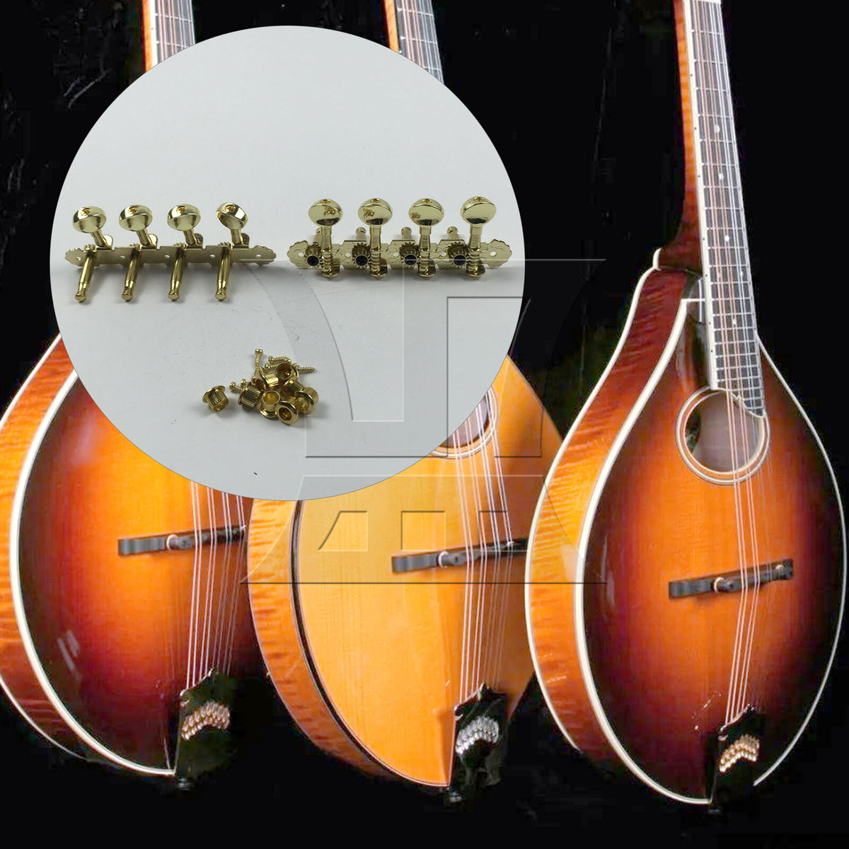 BQLZR 2 Sets Metal Mandolin Turning Peg Gold 2R2L for Handmade Diy Mandolin Making