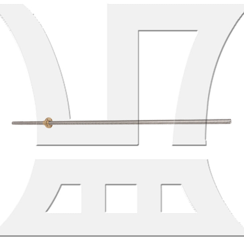 BQLZR 450mm Stainless Steel Lead Screw w/ Nuts 2mm Lead for Machine Tool