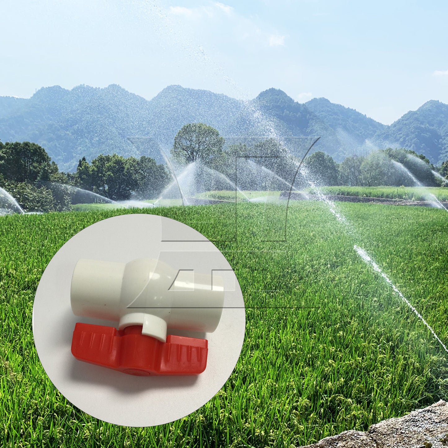 BQLZR 3/4 Inch Plastic Water Pipe Shut-off Valve Socket with Red T-Handle