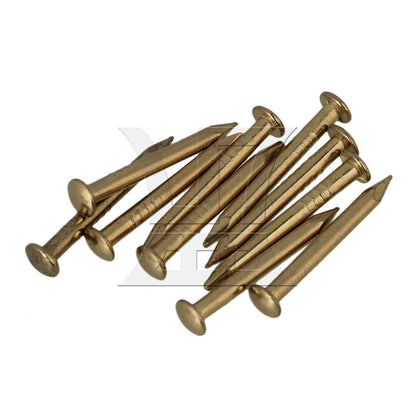 BQLZ 200 Pieces Copper Alloy Nails for Home Furniture Decorative Tool 0.59x0.12inch