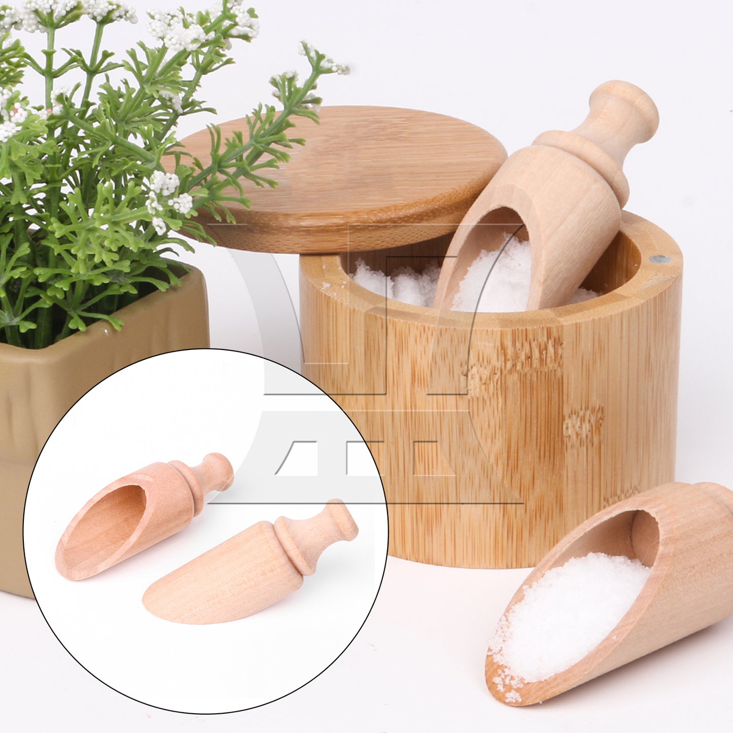BQLZR 15 Pieces Wooden Measuring Coffee Salt Spice Small Scoops Spoon 3.54x1.22inch