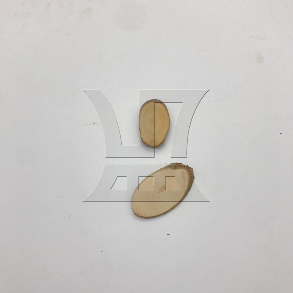 BQLZR Unfinished Wood Crafts with Bark 4x2x0.5CM Used for Building Models Decorative Materials